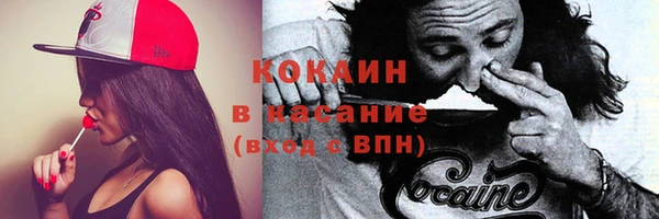 кокс Арсеньев