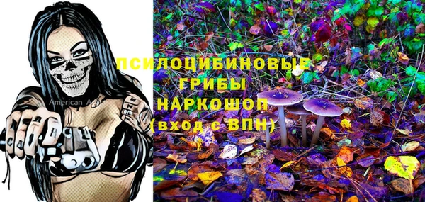 кокс Арсеньев