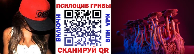 Галлюциногенные грибы Magic Shrooms  Краснослободск 